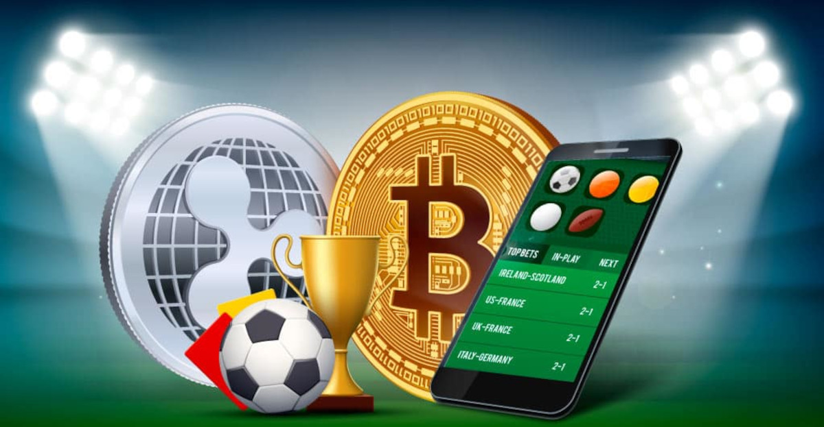 Exploring the World of Online Gambling with Kiwi Bet